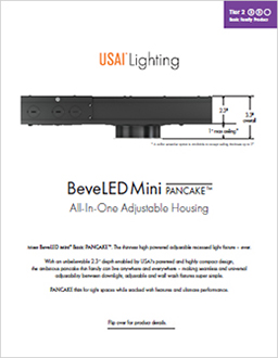 Beveled Mini Basic Pancake Flyer